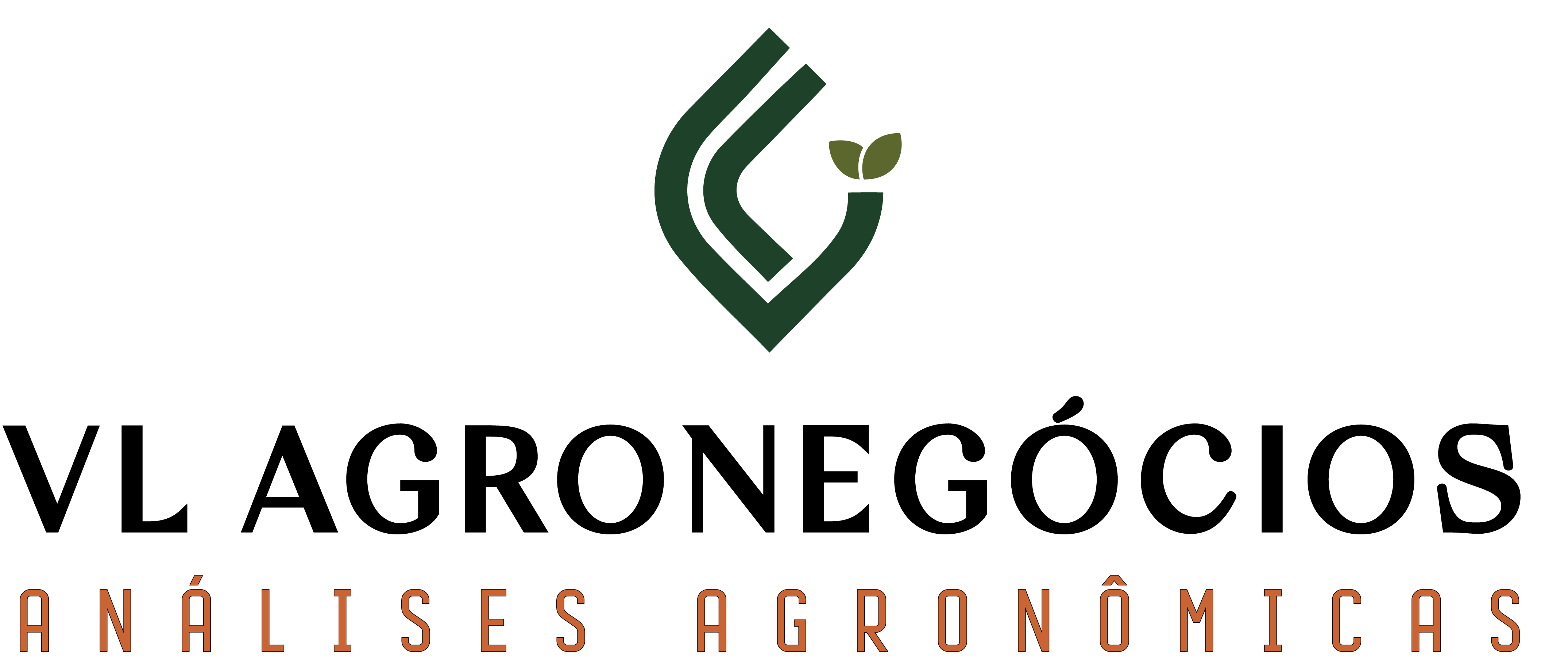 VL Agronegócios Logo